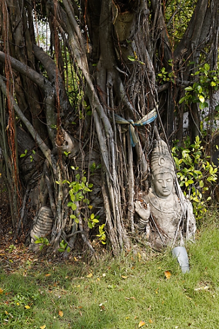 Muang Boran-2013-006